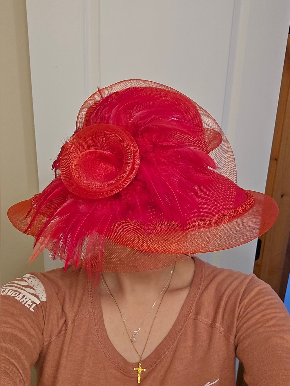 Elegant Women's Red Feather Dress Hat - Unbranded